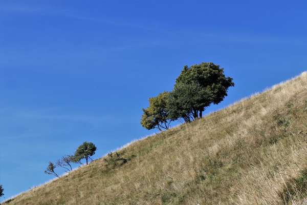 Trekking Montagna Escursioni Italia