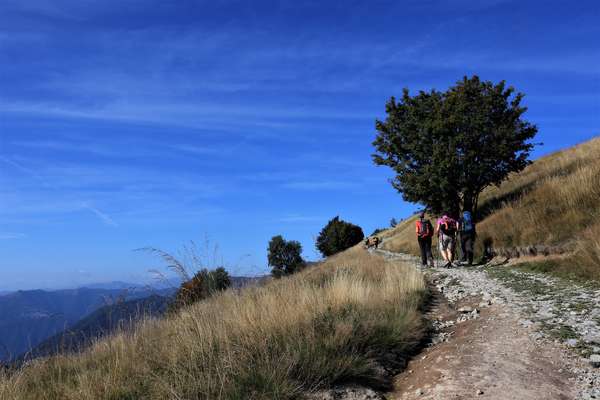 Trekking Montagna Escursioni Italia