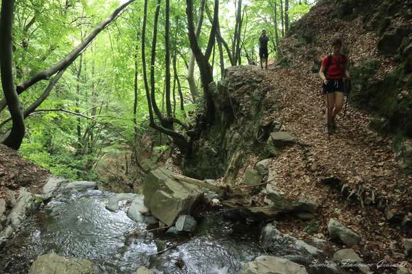 Trekking Montagna Escursioni Italia