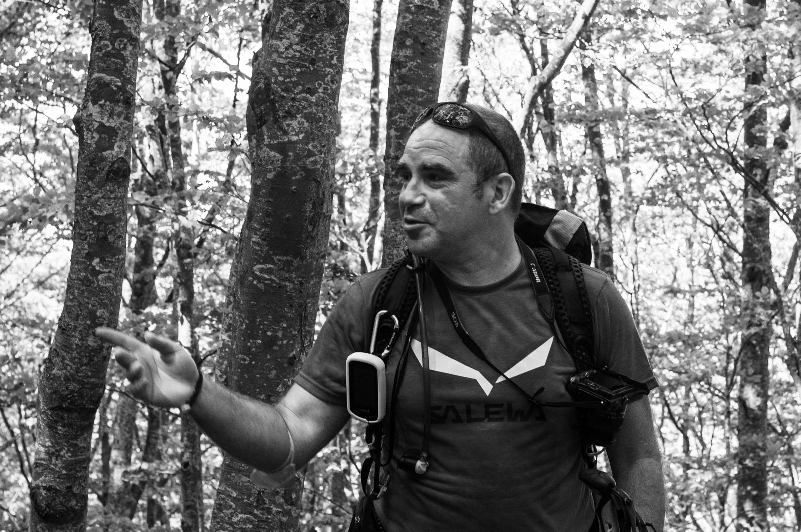 Francesco Simioni Guida Escursionistica