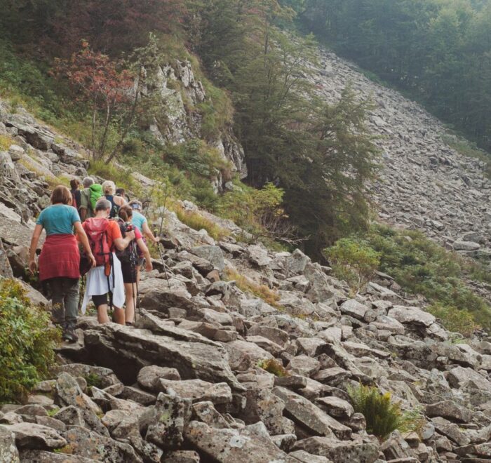 Ruscello Parco Dei Cento Laghi Emilia Romagna