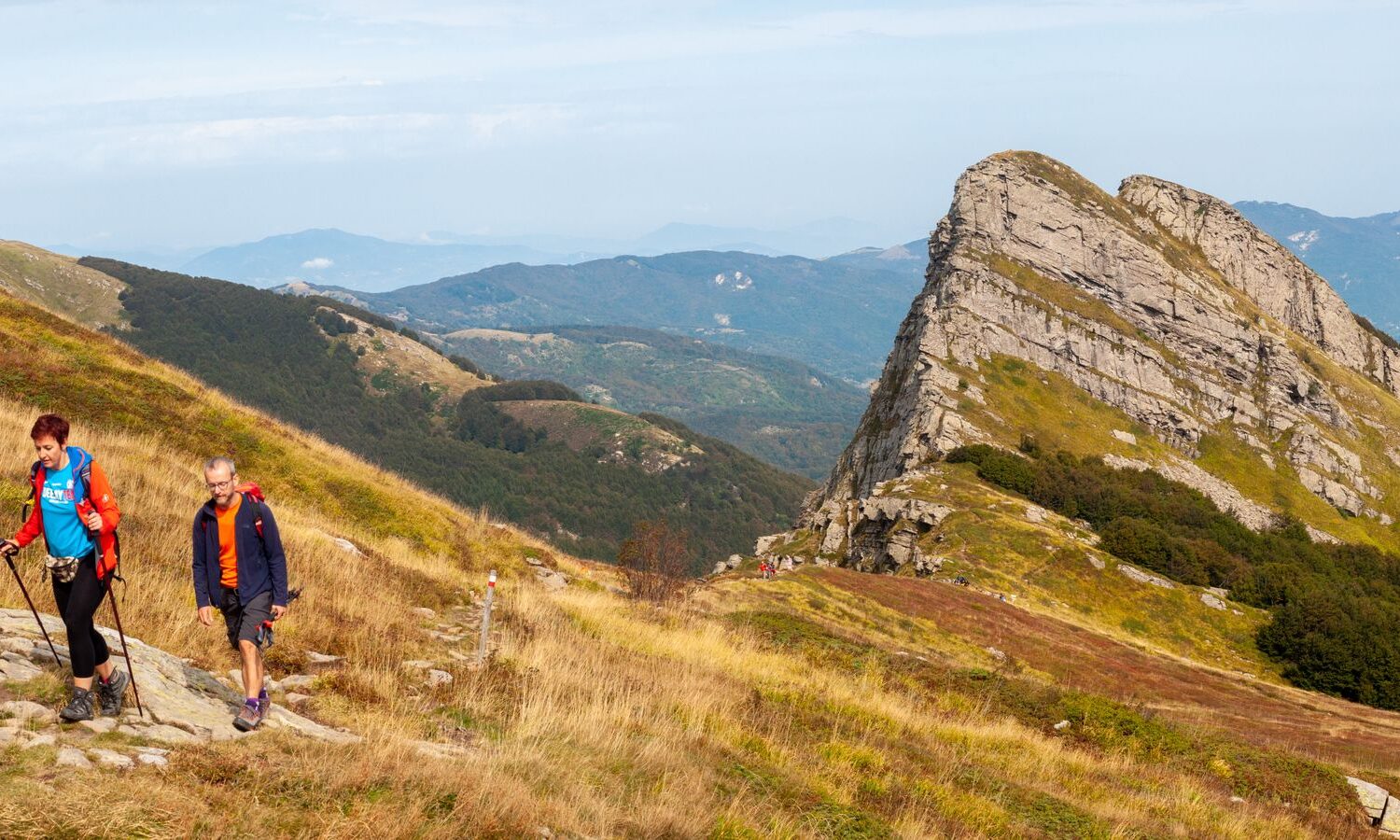 Ruscello Parco Dei Cento Laghi Emilia Romagna