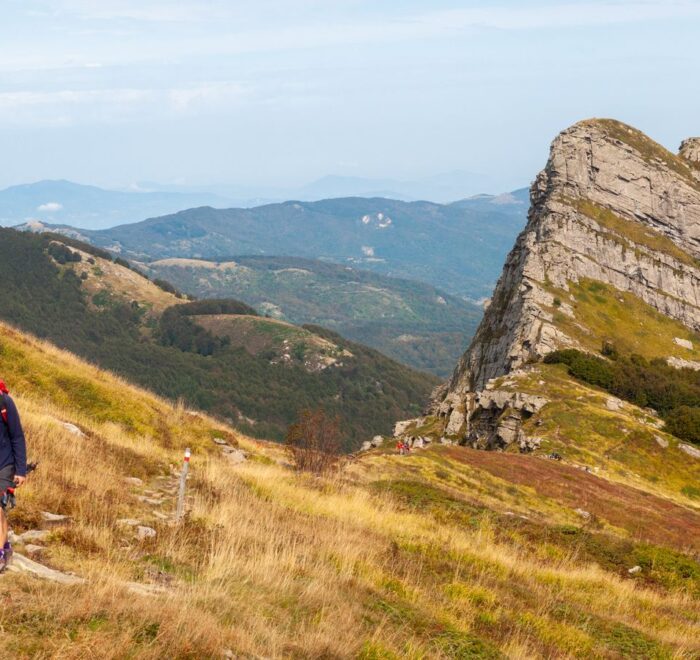 Ruscello Parco Dei Cento Laghi Emilia Romagna