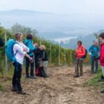 Trekking Langhe Escursioni Italia