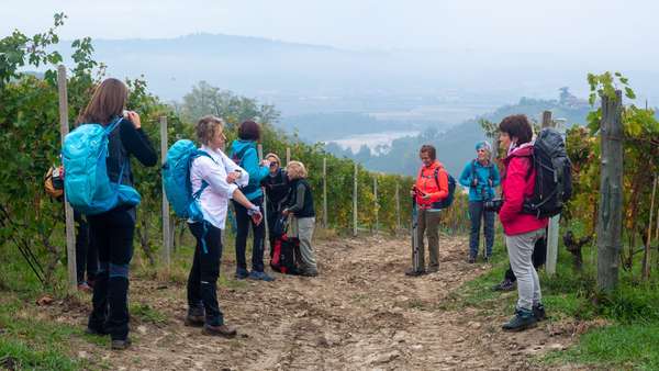 Trekking Langhe Escursioni Italia