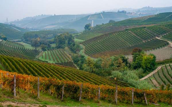 Trekking Langhe Escursioni Italia