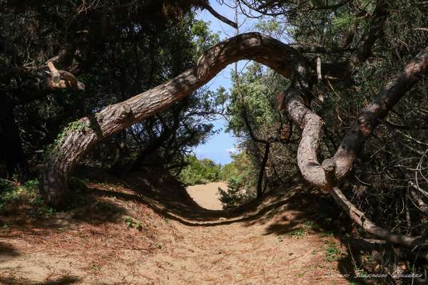 Trekking Mare Italia