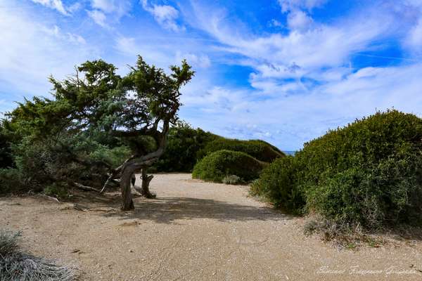 Trekking Mare Italia
