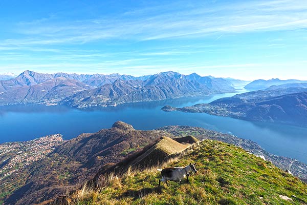 LifeInTrek Trekking Milano Monte Crocione Lombardia Monti Lariani
