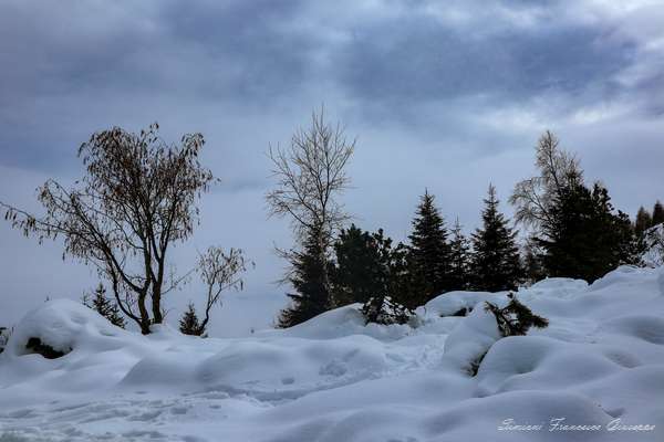 Montagna Trekking Ciaspole