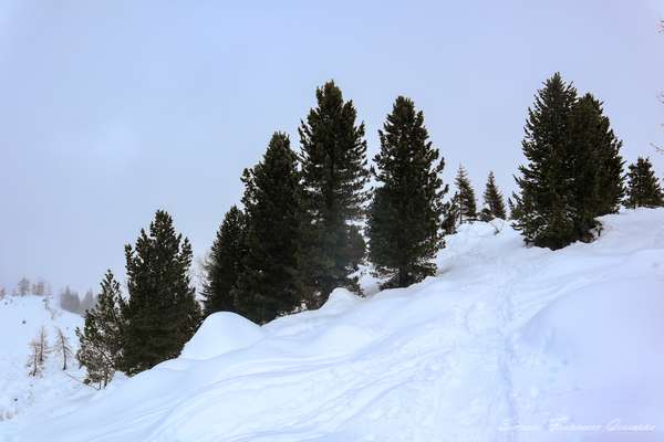 Montagna Trekking Ciaspole