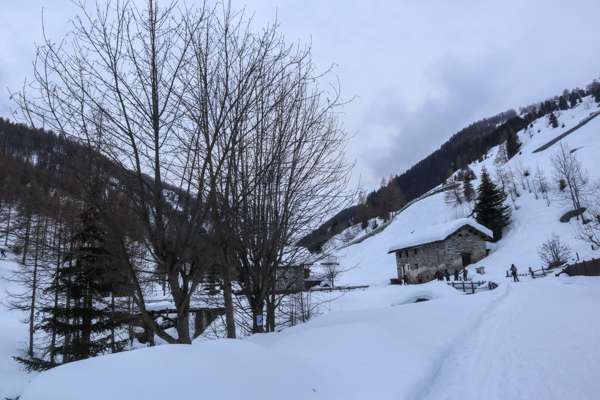 Montagna Trekking Ciaspolate