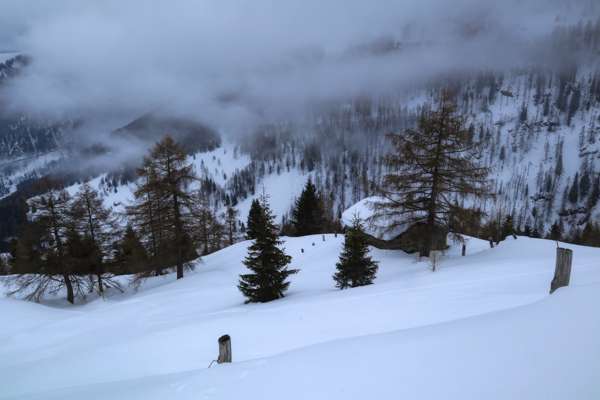 Montagna Trekking Ciaspolate