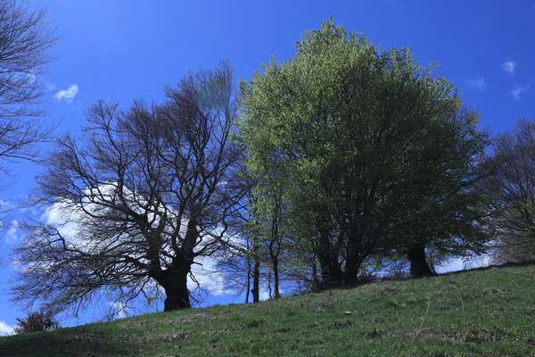 Rifugio Prabello