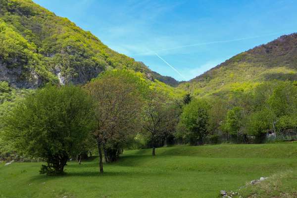 Verdi prati in Val Solda