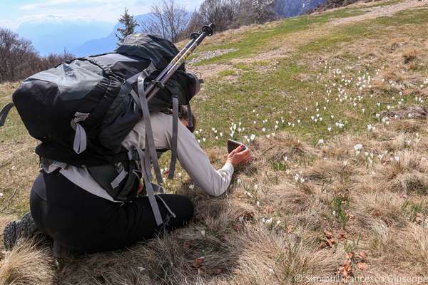 Passo San Lucio Fotografia