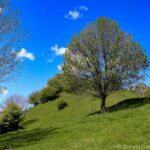 Val d'Intelvi Monte Comana Sentiero delle Espressioni