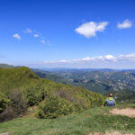 Trekking Foreste Casentinesi 2021