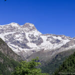 Alpe Sattal 2021