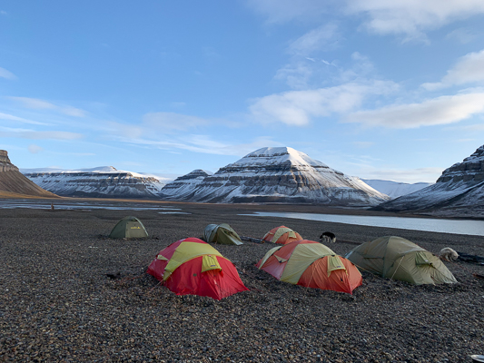 Svalbard Estate Circolo Polare Artico