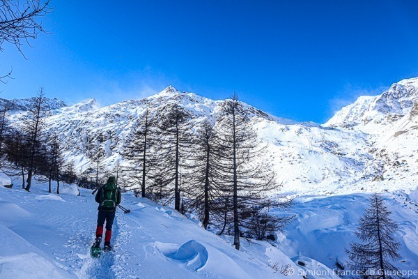 Ceresole Reale Verso Punta Basei