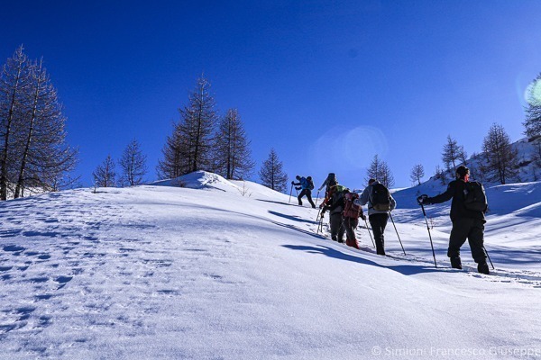 Chamois Champlong Aosta Valtournenche