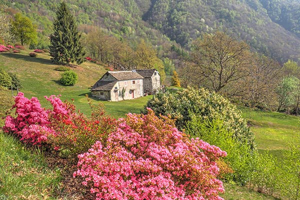 Alpe Vercio Bracchio Trekking Montagna Orta Valgrande Montagna