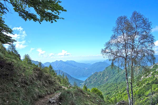 Trekking Escursioni Gite Montagna Grigna Bietti