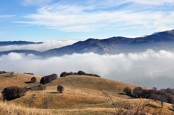 Ruscello Parco Dei Cento Laghi Emilia Romagna