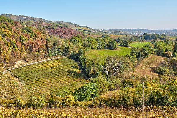 Trekking Milano LifeInTrek Piemonte Lombardia Escursione Vigne Colline Langhe