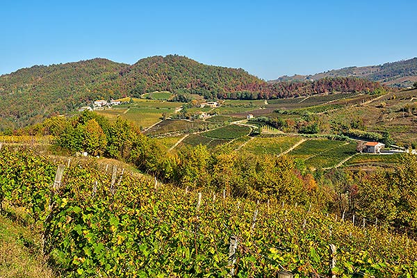 Trekking Milano LifeInTrek Piemonte Lombardia Escursione Vigne Colline Langhe
