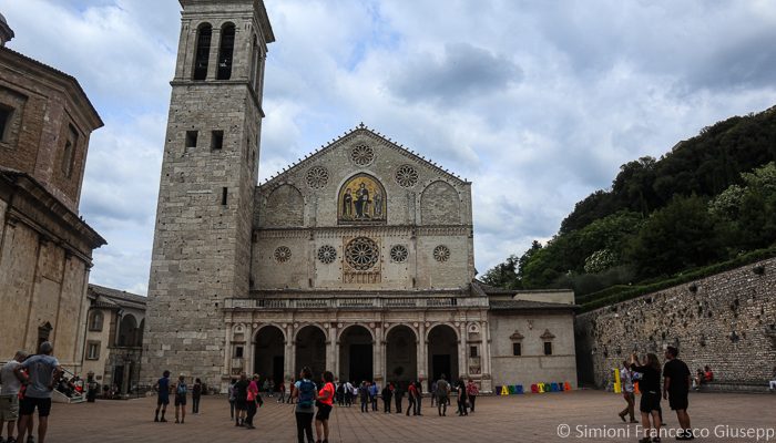 trekking spoleto umbria ulivo