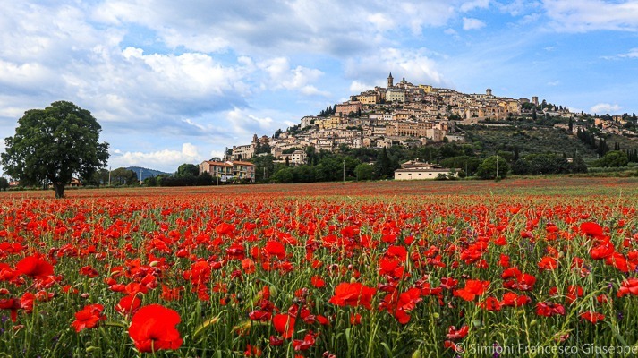 Trekking Umbria Trevi