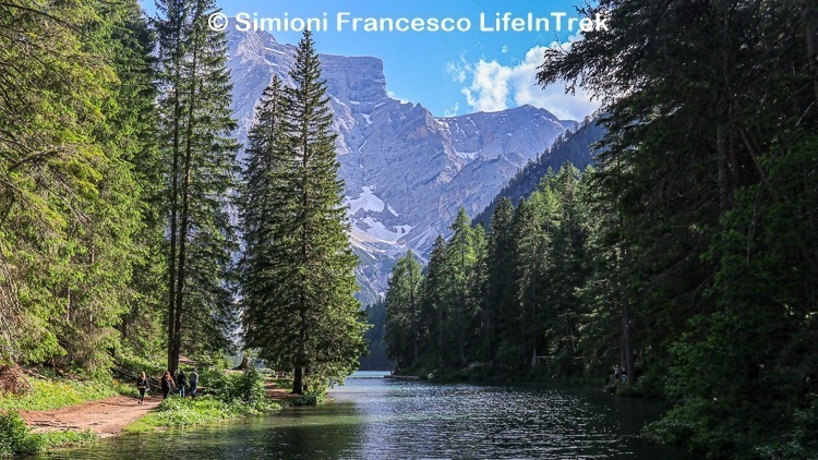 trekking Val Pusteria Lago di Braies relax tra gli abeti