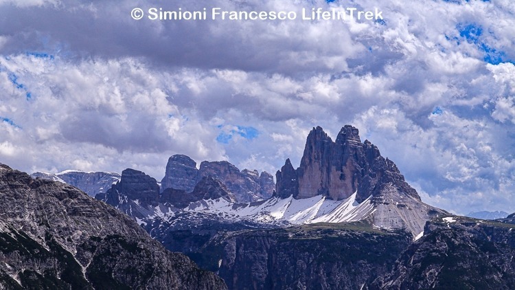 Trekking Tre Cime di Lavaredo Monte Specie