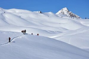Trekking Milano Ciaspole e Ciaspolate Neve