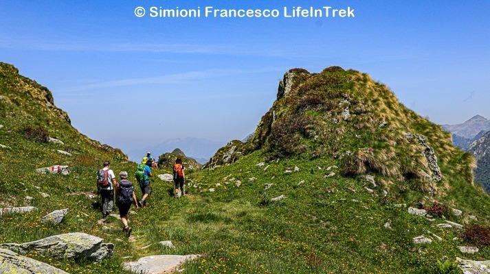Trekking Milano Lago Baranca Piemonte