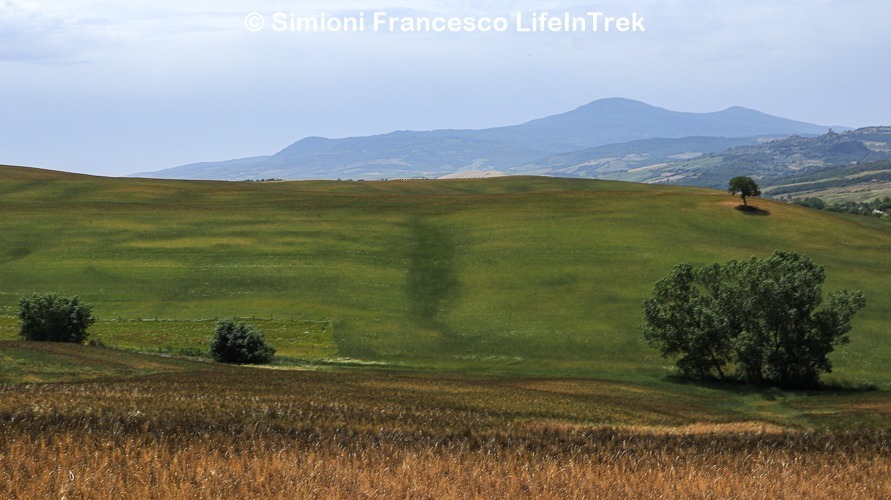 Trekking Toscana Val d'Orcia Cipressi