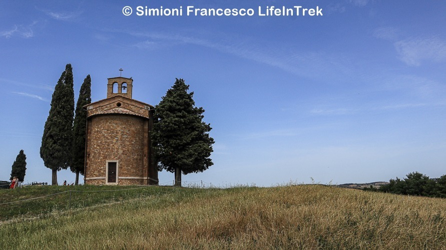 Trekking Toscana Val d'Orcia Cipressi