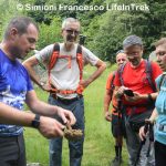 Trekking Milano Val Sorba Val Sesia Micologia