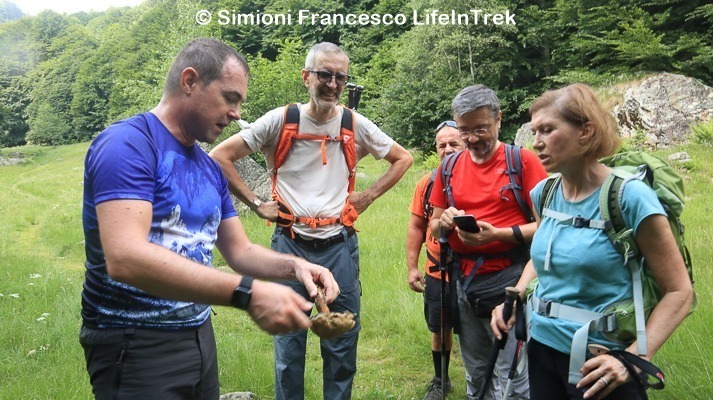 Trekking Milano Val Sorba Val Sesia Micologia