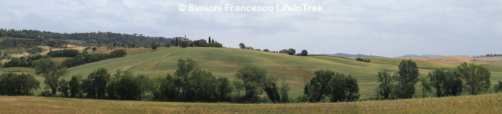 Trekking Toscana Val d'Orcia Cipressi