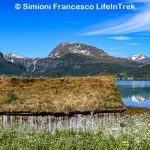Trekking Norvegia fiordo Lifeintrek