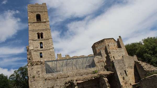 Torre Uccellina Abazia di San Rabano uliveto secolare