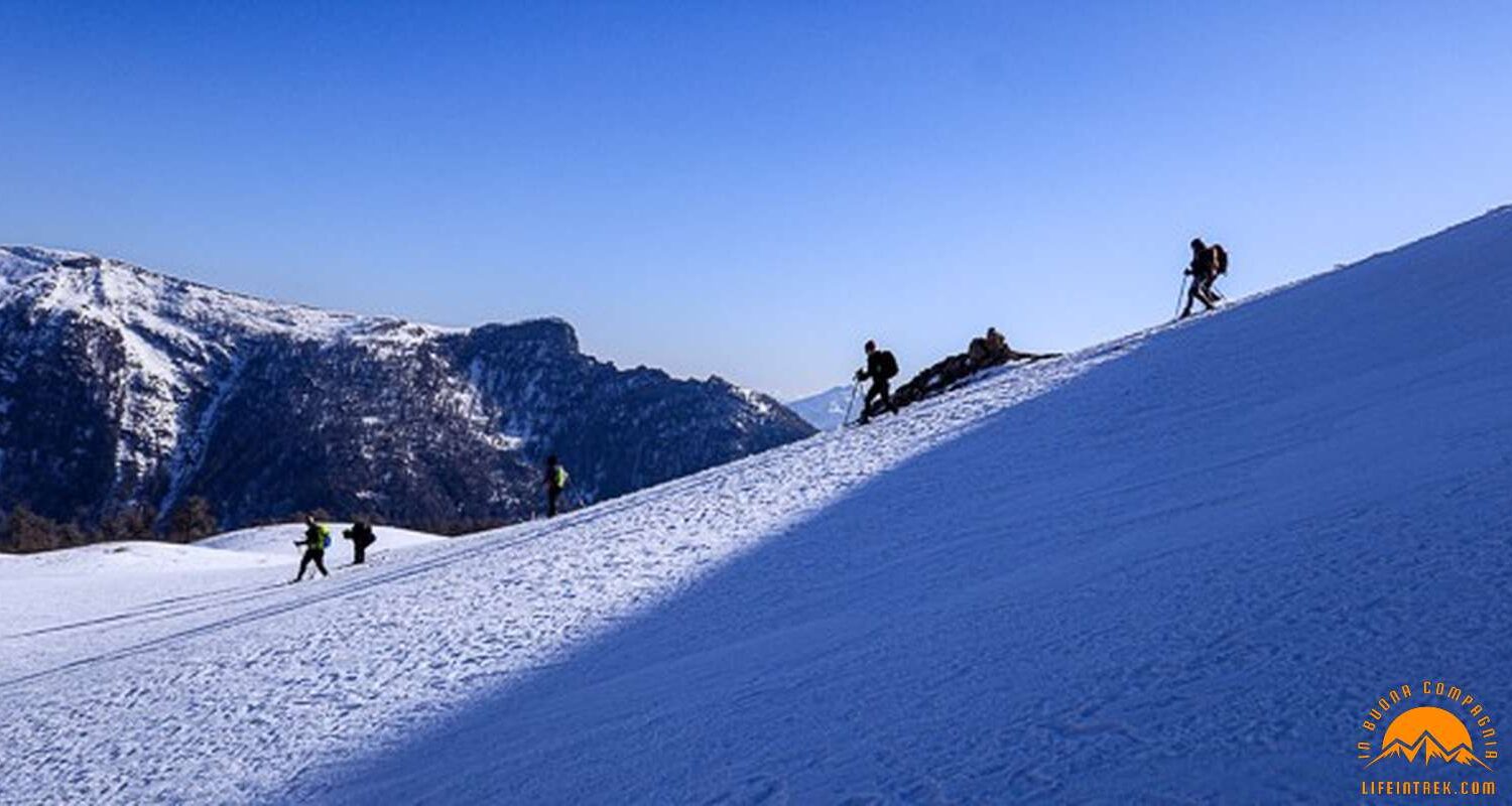 Trekking Ciaspolata Col Chaleby Gruppo Trekking Aosta Piemonte Milano Legnano Fontaney Lignan Nus Ciaspole Trek Trekking Neve Val Aosta Lifeintrek