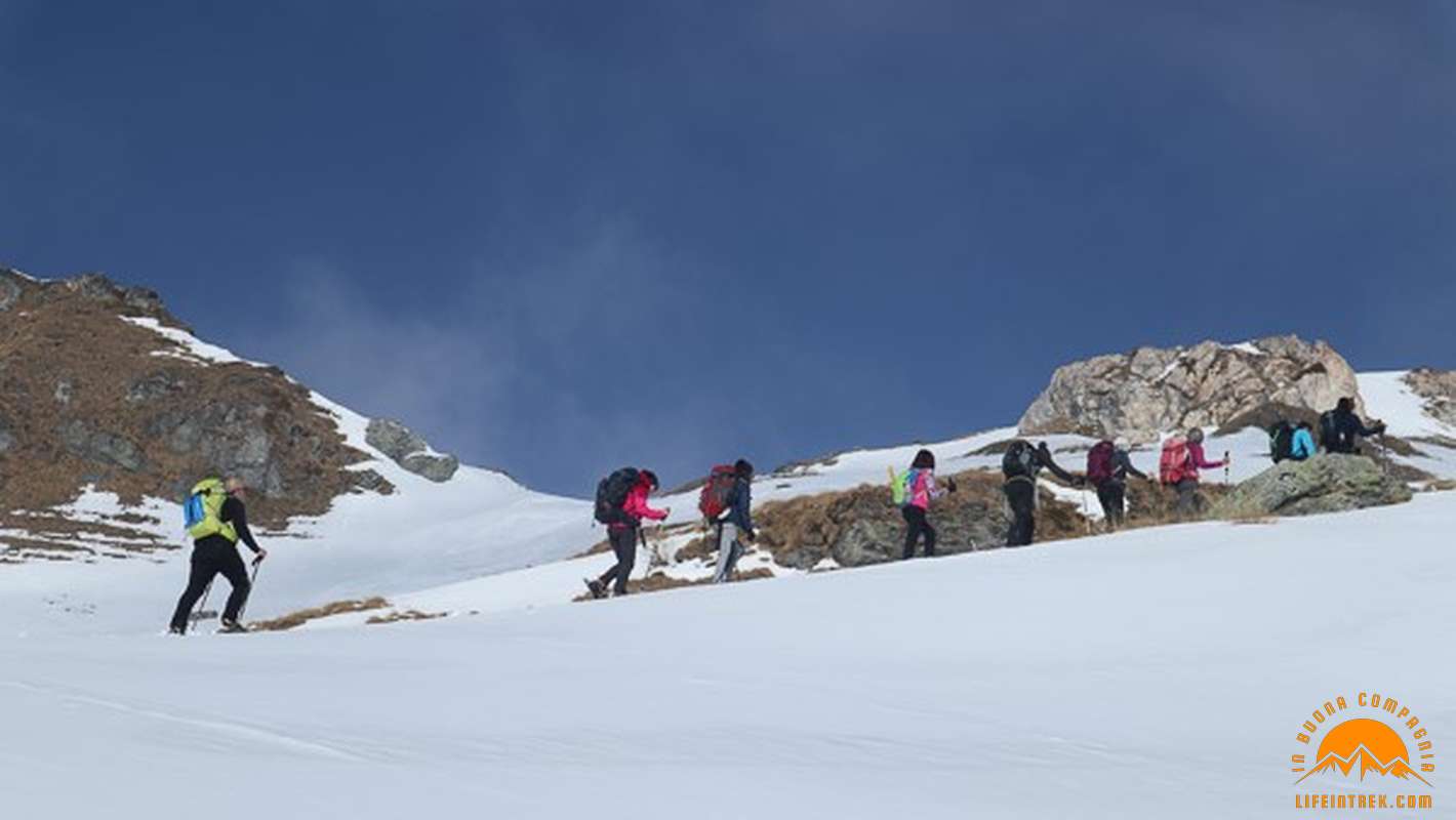 Trekking Ciaspolata Col Chaleby Fontaney Lignan Nus Ciaspole Trek Trekking Neve Val Aosta Lifeintrek