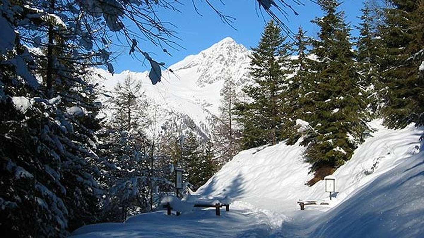 Ciaspolata Aosta Lago Vargno Punta Leretta Ciaspole Neve gressoney Trek trekking val d'Aosta Lifeintrek
