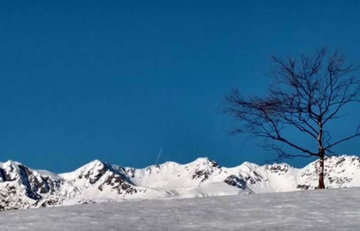Ciaspolata Punta Aquila Gruppo Trekking Milano Torino Legnano