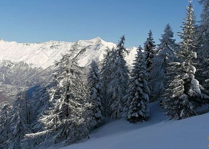 Ciaspolate Organizzate Milano Lombardia Nevi Piemontesi Trek Trekking Valle Susa Truc delle Vaccare Piemonte Lifeintrek
