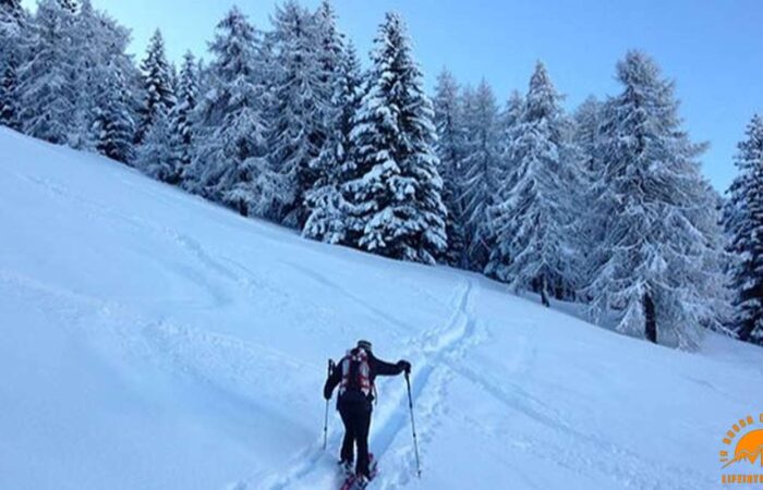 Ciaspolate Organizzate Milano Lombardia Nevi Piemontesi Trek Trekking Valle Susa Truc delle Vaccare Piemonte Lifeintrek